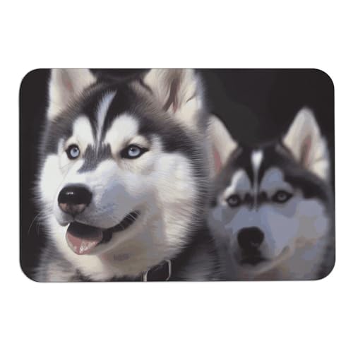 Husky Hunde-Badematte für Kieselalgen, absorbiert Feuchtigkeit und Schmutz, Fußmatte mit rutschfester Gummi-Unterseite, Bodenmatte passt unter die Tür, für Badezimmer, Boden, Badewanne, Dusche Husky Hunde-Badematte für Kieselalgen, absorbiert Feuchtigkeit und Schmutz, Fußmatte mit rutschfester Gummi-Unterseite, Bodenmatte passt unter die Tür, für Badezimmer, Boden, Badewanne, Dusche von DWVSFJM