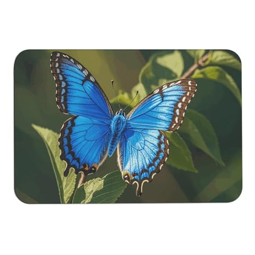 Kleine Kieselalgen-Badematte mit blauem Schmetterling, absorbiert Feuchtigkeit und Schmutz, Fußmatte mit rutschfester Gummi-Unterseite, Bodenmatte passt unter die Tür, für Badezimmer, Boden, Badewanne Kleine Kieselalgen-Badematte mit blauem Schmetterling, absorbiert Feuchtigkeit und Schmutz, Fußmatte mit rutschfester Gummi-Unterseite, Bodenmatte passt unter die Tür, für Badezimmer, Boden, Badewanne von DWVSFJM