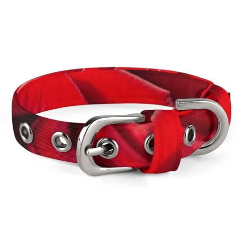 Many Red Rose Hundehalsband, verstellbar, weich und bequem, Welpenhalsbänder mit Metallschnalle, Haustierhalsband für kleine, mittelgroße Haustiere von DWVSFJM