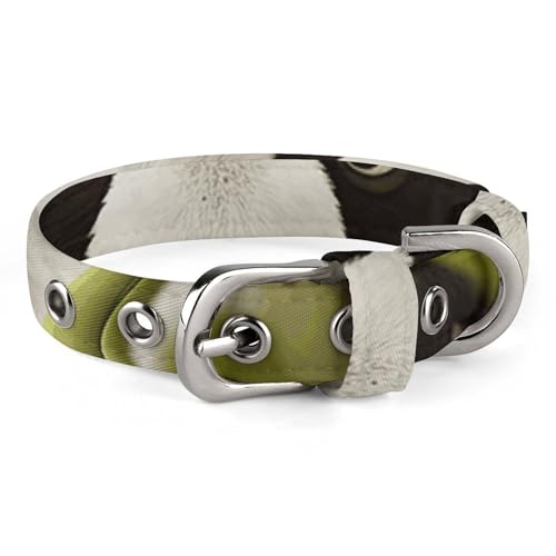 Panda Hundehalsband, verstellbar, weich und bequem, Welpenhalsbänder mit Metallschnalle, Haustierhalsband für kleine, mittelgroße Haustiere von DWVSFJM