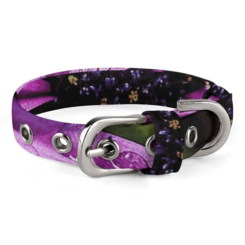 Purple Daisy Hundehalsband, verstellbar, weich und bequem, Welpenhalsbänder mit Metallschnalle, Haustierhalsband für kleine, mittelgroße Haustiere von DWVSFJM