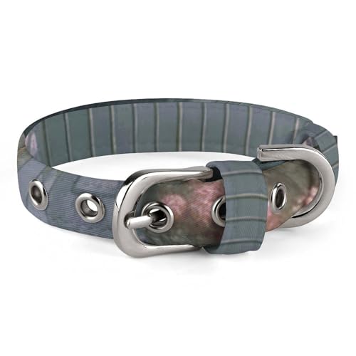 Secret Garden Hundehalsband, verstellbar, weich und bequem, Welpenhalsbänder mit Metallschnalle, Haustierhalsband für kleine, mittelgroße Haustiere von DWVSFJM
