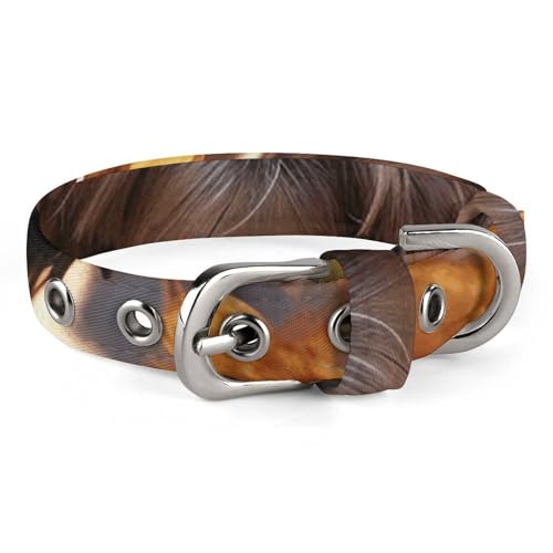 Shih Tzu Hundehalsband und Blumen, verstellbar, weich und bequem, Welpenhalsbänder mit Metallschnalle, Haustierhalsband für kleine, mittelgroße Haustiere von DWVSFJM