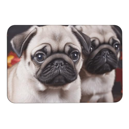 Welpen-Badematte mit Mops-Motiv, absorbiert Feuchtigkeit und Schmutz, Fußmatte mit rutschfester Gummi-Unterseite, Bodenmatte passt unter die Tür, für Badezimmer, Boden, Badewanne, Dusche, Waschbecken Welpen-Badematte mit Mops-Motiv, absorbiert Feuchtigkeit und Schmutz, Fußmatte mit rutschfester Gummi-Unterseite, Bodenmatte passt unter die Tür, für Badezimmer, Boden, Badewanne, Dusche, Waschbecken von DWVSFJM