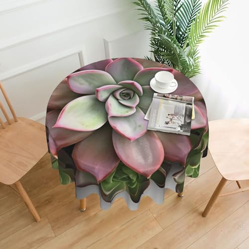 DWVTSLH Sukkulente botanische Tischdecke, 152,4 cm, flecken- und knitterfrei, runde Tischdecke, Küche, Esstisch, Dekoration, waschbare Stofftischdecke für den Innen- und Außenbereich von DWVTSLH
