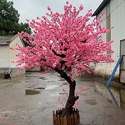 DWXN Künstlicher Pfirsich Baum Wunsch Baum Große Pflanze Künstliche Kirschbaum Pflaume Baum Indoor und Outdoor Landschaftsgestaltung Dekoration Gefälschte Pfirsich Baum H200*L200CM von DWXN