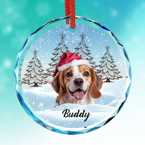 DXDOING Personalisierte Kristall-Weihnachtskugel mit Haustierfoto – Individueller Weihnachtsschmuck für Hund & Katze – Erinnerungsgeschenk für Tierliebhaber von DXDOING