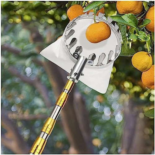 DXDRT Obstpflücker mit 6m/19.6 ft Teleskopstiel und Obst Tragetasche, Leicht Verstellbarer Apfelpflücker für Haus Obstgarten Bauernhof, Obsternter für Zitrone, Mango, Avocados und mehr Früchte von DXDRT