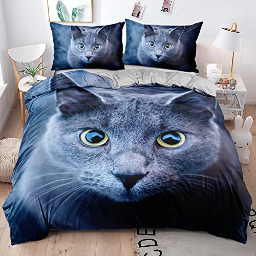 DXHOME 3D Effekt Bettwäsche Katze 200x200 3 teilig Britisch Kurzhaar Bettbezug Flauschige Blau Weiß Mikrofaser Bettwäsche für Mädchen Jungen Doppelbett mit Reißverschluss und 2 Kissenbezüge 80x80 cm von DXHOME