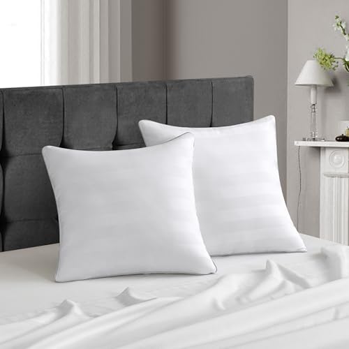 DXHOME Kopfkissen 40x40 cm 2er Set Kissen Kopfkissen bequem weich hypoallergen für Rückenschläfer Seitenschl äfer am Bauch Sofa-Kissen & Zierkissen für Couch Bett Atmungsaktiv et Weich Kissen (Weiß) von DXHOME
