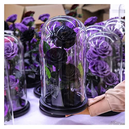 DXNB Konservierte Echte Rose Im Glasdom Ewige Blume Die Schöne Und Das Biest Rose Handgemachtes Geschenk Für Mama Frau Ehefrau Feste Freundin (Color : Black) von DXNB