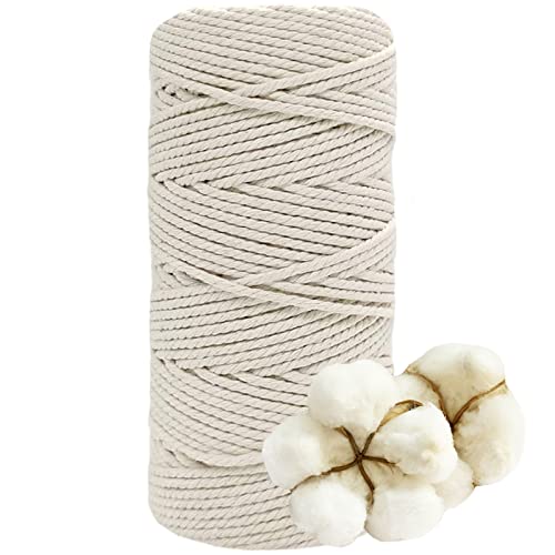 DXRPO Makramee Garn 3mmx100m, Baumwollgarn Makramee, Macrame Cord für DIY Makramee Wandbehang, Makramee Blumenampel, Weihnachten Deko, Geschenke für Gute Freunde, Pflanze Aufhänger Boho Deko, Beige von DXRPO