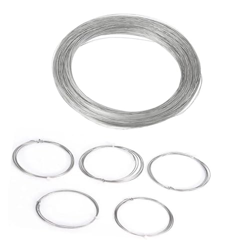 Hochbelastbar Länge 1 Meter 5 Meter 10 Meter Durchmesser 0,2 mm - 3 mm 304 Edelstahlseil Einzelner heller harter Draht(1.0mm 5 meters) von DYJLPP