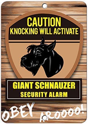 DYLAN MILLER Schild mit Aufschrift "Full Propane Cylinders Ready for Use", Warnschild, Warnschild, 20,3 x 30,5 cm, Blechschild für drinnen und draußen, TFA397 von DYLAN MILLER