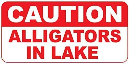 DYLAN MILLER Slow Down Speed Limit 25 MPH Gelb – Hinweisschild Warnschild 20,3 x 30,5 cm Blechschild für drinnen und draußen TFA421 von DYLAN MILLER