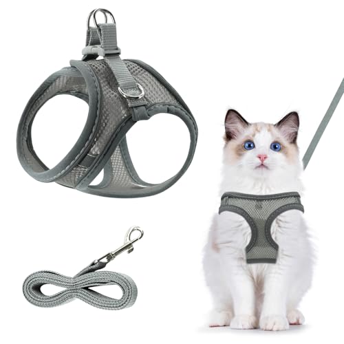Atmungsaktiv Katzengeschirr, Grau Reflektierend Set, Ausbruchsicher Verstellbar Mit Leine für Im Freien (S) von DYMHQ