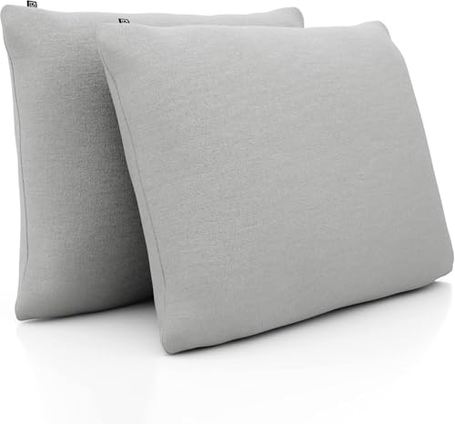 Sofakissen mit Füllung und Bezug - Sofakissen 60x80 cm - Couchkissen Beige 2er Set mit viel Füllung – OekoTex zertifizierte Zierkissen für Sofa & Couch – Bequeme Dekokissen Wohnzimmer, Schlafzimmer von DYNMC you