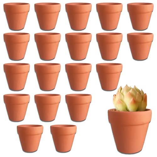 DYOUen 20 Pcs Terrakotta Töpfe 3x3.5 cm Mini Pflanzen Töpfe Keramik Blumentöpfe für Innen/Outdoor Kaktus Sukkulente Haus Pflanzen von DYOUen
