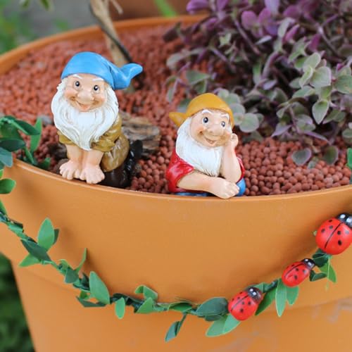 Garten Deko Draußen Figuren Frosch Blumentopf Landschafts Tier Dekoration, Mini Teich Deko Garten Rasen Zwerg,Dekofiguren Feen Micro Landscape Ornaments Gartendeko für Draußen Figuren (Zwerg) von DZAY