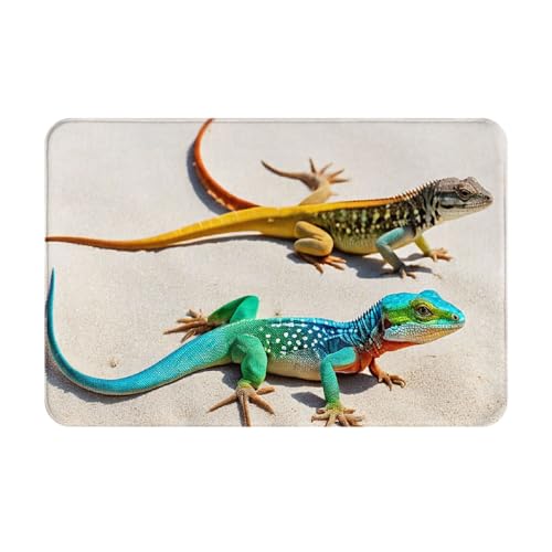 (Geckos) Bedruckter Türteppich für Badezimmer, Schlafzimmer und Büro, 40,6 x 61 cm, weicher rutschfester moderner Indoor-Teppich von DZBDWZXH