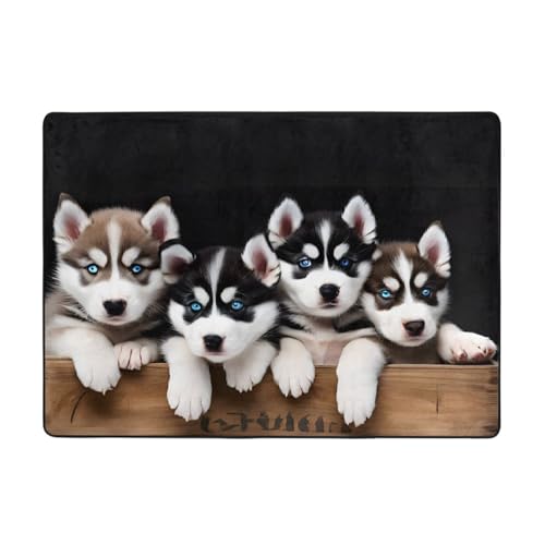 Bedruckte Teppiche für Wohnzimmer, Schlafzimmer und Büro, 203 x 147 cm, weiche, rutschfeste moderne Teppiche für den Innenbereich, 203 x 147 cm von DZBDWZXH