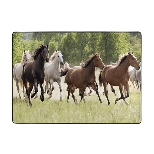 Bedruckte Teppiche für Wohnzimmer, Schlafzimmer und Büro, 203 x 147 cm, weiche rutschfeste moderne Indoor-Teppiche Bedruckte Teppiche für Wohnzimmer, Schlafzimmer und Büro, 203 x 147 cm, weiche rutschfeste moderne Indoor-Teppiche von DZBDWZXH