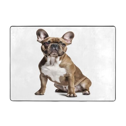 Bedruckte Teppiche für Wohnzimmer, Schlafzimmer und Büro, 203 x 147 cm, weiche rutschfeste moderne Teppiche für den Innenbereich. von DZBDWZXH