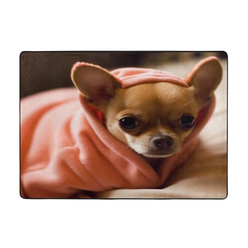 Bedruckte Teppiche für Wohnzimmer, Schlafzimmer und Büro, 203 x 147 cm, weiche rutschfeste moderne Teppiche für den Innenbereich. von DZBDWZXH