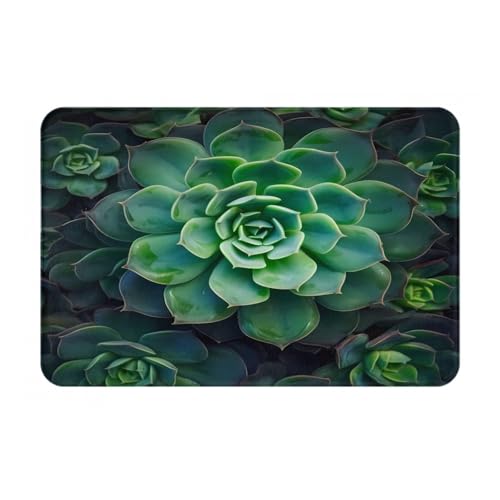 Bedruckte Türteppiche für Badezimmer, Schlafzimmer und Büro, 16 x 60 cm Bodenmatte, weicher rutschfester moderner Innenteppich von DZBDWZXH