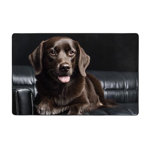 Bedruckter Teppich für Wohnzimmer, Schlafzimmer und Büro, 152,4 x 99,1 cm, weich, rutschfest, modern, für den Innenbereich, Braun Bedruckter Teppich für Wohnzimmer, Schlafzimmer und Büro, 152,4 x 99,1 cm, weich, rutschfest, modern, für den Innenbereich, Braun von DZBDWZXH
