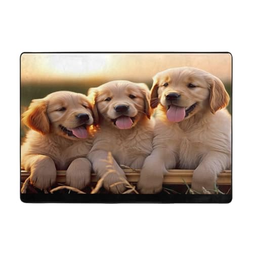 Bedruckter Teppich für Wohnzimmer, Schlafzimmer und Büro, 203 x 147 cm, weich, rutschfest, modern, für den Innenbereich von DZBDWZXH