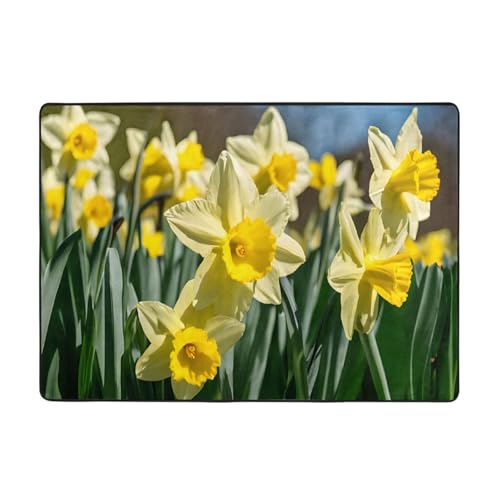 Bedruckter Teppich mit Narzissen-Blume für Wohnzimmer, Schlafzimmer und Büro, 203 x 147,3 cm, weiche, rutschfeste, moderne Teppiche für den Innenbereich. von DZBDWZXH