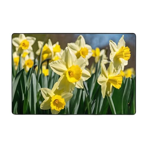 Bedruckter Teppich mit Narzissen-Blume für Wohnzimmer, Schlafzimmer und Büro, Bodenmatte, 91,4 x 61 cm, weich, rutschfest, modern, für den Innenbereich von DZBDWZXH