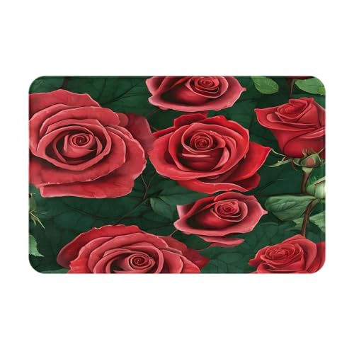 Bedruckter Türteppich für Badezimmer, Schlafzimmer und Büro, 40,6 x 61 cm, weich, rutschfest, modern, für den Innenbereich, Rot von DZBDWZXH