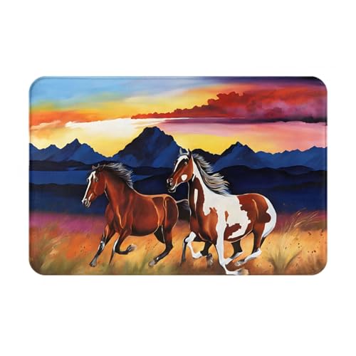 Bedruckter Türteppich für Badezimmer, Schlafzimmer und Büro, 40,6 x 61 cm, weicher rutschfester moderner Indoor-Teppich von DZBDWZXH