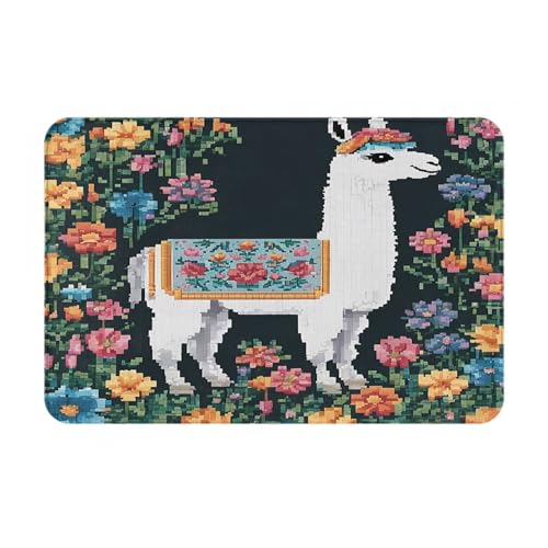 Bedruckter Türteppich für Badezimmer, Schlafzimmer und Büro, 40,6 x 61 cm, weicher rutschfester moderner Indoor-Teppich von DZBDWZXH