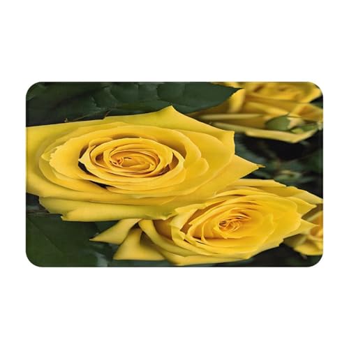 Bedruckter Türteppich für Badezimmer, Schlafzimmer und Büro, 50,8 x 80 cm, weiche rutschfeste moderne Innenteppiche Bedruckter Türteppich für Badezimmer, Schlafzimmer und Büro, 50,8 x 80 cm, weiche rutschfeste moderne Innenteppiche von DZBDWZXH