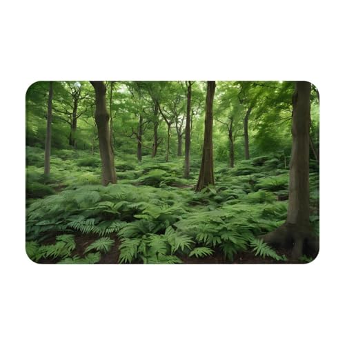 Bedruckter Türteppich für Badezimmer, Schlafzimmer und Büro, 50,8 x 80 cm, weicher rutschfester moderner Indoor-Teppich Bedruckter Türteppich für Badezimmer, Schlafzimmer und Büro, 50,8 x 80 cm, weicher rutschfester moderner Indoor-Teppich von DZBDWZXH