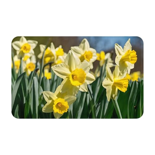 Bedruckter Türteppich mit Narzissen-Blume für Badezimmer, Schlafzimmer und Büro, 50,8 x 80 cm, weicher rutschfester moderner Indoor-Teppich Bedruckter Türteppich mit Narzissen-Blume für Badezimmer, Schlafzimmer und Büro, 50,8 x 80 cm, weicher rutschfester moderner Indoor-Teppich von DZBDWZXH