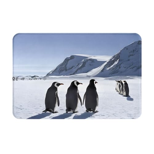 Bedruckter Türteppich mit Pinguine auf dem Eisberg, für Badezimmer, Schlafzimmer und Büro, 40,6 x 61 cm, weich, rutschfest, modern, für den Innenbereich Bedruckter Türteppich mit Pinguine auf dem Eisberg, für Badezimmer, Schlafzimmer und Büro, 40,6 x 61 cm, weich, rutschfest, modern, für den Innenbereich von DZBDWZXH