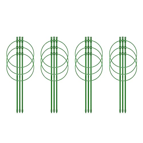 DZHCBNE 4PCS/Set Plank GLELLIS Dekorative Stützrahmen Gartendekoration Für Hausgarten Yard Pflanzenwässerung Vorräte DZHCBNE 4PCS/Set Plank GLELLIS Dekorative Stützrahmen Gartendekoration Für Hausgarten Yard Pflanzenwässerung Vorräte von DZHCBNE