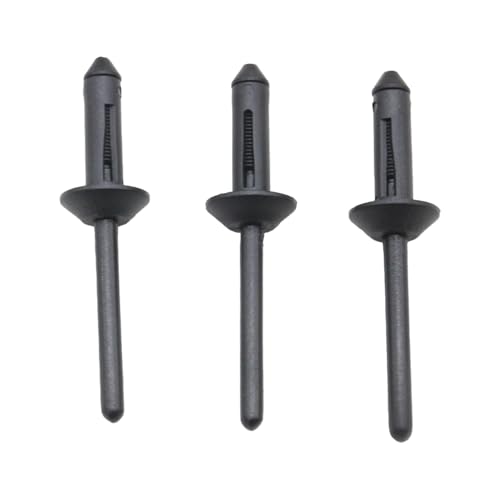 DZMZL Nylon-Blindnieten, Kotflügel-Stoßstangen-Halter, 10036503, kompatibel mit GM QTY20 von DZMZL