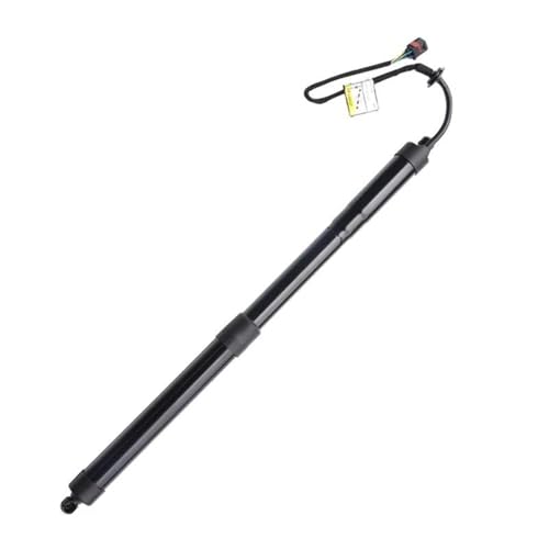 81770-2W600 81780-2W600 Für Hyundai Für Santa Fe 2,0 2,2 2015-2020 Links/Rechts Hinten Stamm Heckklappe Power Hatch Lift Unterstützung Opener Elektrische Heckklappe Gasdruckfeder(Left 81780-2W600) von DZSJFGAIS