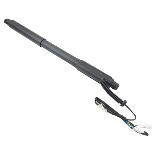DZSJFGAIS 51247441799 Power Hatch Lift Support Für Elektrische Heckklappen-Gasdruckfedern BMWs G05 X5 2019 2020 Elektrische Heckklappe Gasdruckfeder(L) von DZSJFGAIS