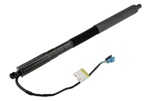DZSJFGAIS 51247497482/51247397322 Power Hatch Lift Unterstützung Für X3 G01/G08/F97 2018 2019 2020-2021 Elektrische Heckklappe Gas Streben Elektrische Heckklappe Gasdruckfeder(L) von DZSJFGAIS