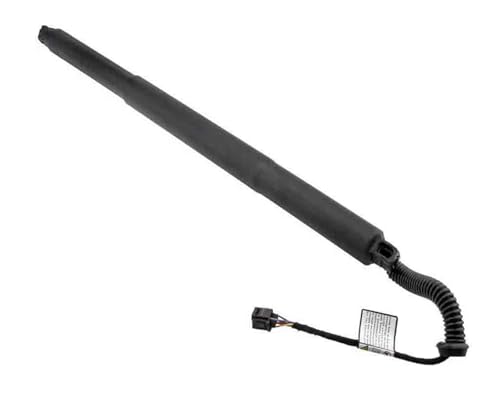 DZSJFGAIS 760827851 Power Lift Unterstützung Strut Shock Heckklappe Für Vw Für Touareg 2017-2018 2019 2020 2023 Power Hatch Lift Unterstützung Elektrische Heckklappe Gasdruckfeder(R) von DZSJFGAIS