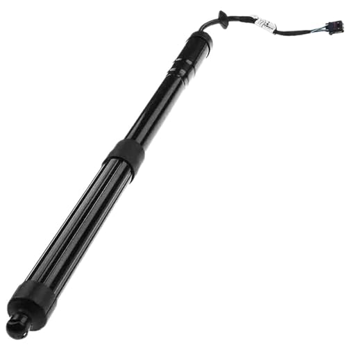DZSJFGAIS 81771-B8100 Elektrische Motor Heckklappe Für Hyundai Für Santa Fe F13 2013-2014-2016 Hinten Heckklappe Elektrische Power Lift Unterstützt Schock Elektrische Heckklappe Gasdruckfeder(L) von DZSJFGAIS
