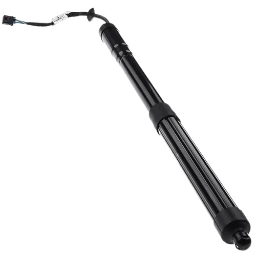DZSJFGAIS 81771-B8100 Elektrische Motor Heckklappe Für Hyundai Für Santa Fe F13 2013-2014-2016 Hinten Heckklappe Elektrische Power Lift Unterstützt Schock Elektrische Heckklappe Gasdruckfeder(R) von DZSJFGAIS