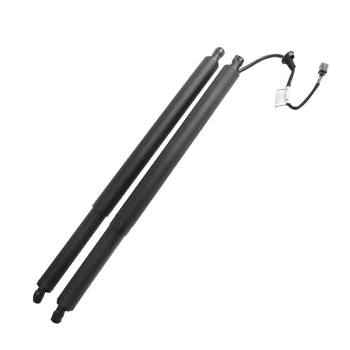 DZSJFGAIS 81831s1600 81841s1600 Für Hyundai Für Santa Fe 2021-2023 Power Heckklappe Heben Unterstützung Elektrische Heckklappe Gasdruckfeder von DZSJFGAIS