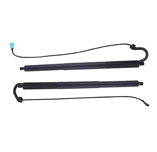 DZSJFGAIS Elektrische Heckklappen-Gasdruckfeder Für X3 F25 18i 20i 28i 35i 51247232003 51247232004 Elektrische Heckklappe Gasdruckfeder(Pair) von DZSJFGAIS